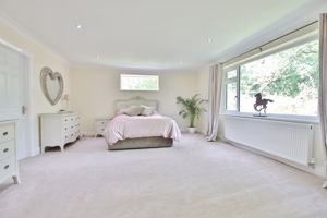 Photo 12- click for photo gallery